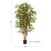 Nature Spring 6-ft Tall Artificial Bamboo, Faux Potted, Indoor Floor Plant for Home, Office Décor, Natural Trunk 716489LSN